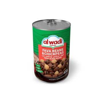 Foul avec pois chiches 400g